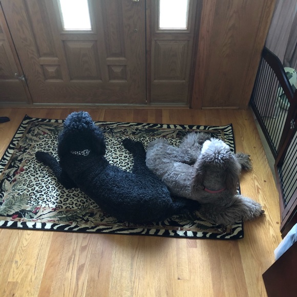 Help  my Mom pay for my broken leg! - Picture 9 of 13